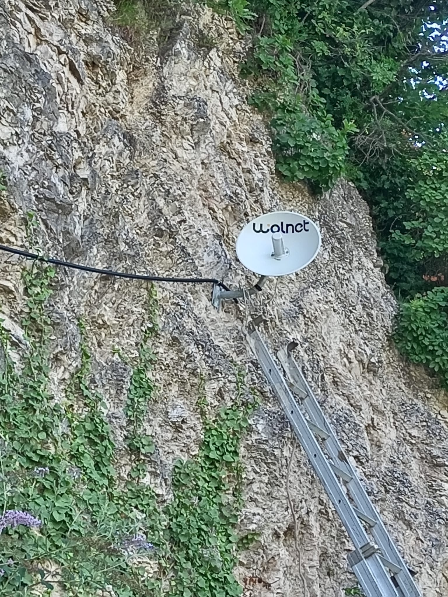 Linea Veloce Trentino - Cliente di Aldeno (TN)